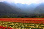 Splendor of Kashmir with Jammu – Srinagar-Sonmarg-Pahalgam-Gulmarg